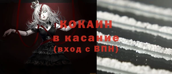 твердый Осинники