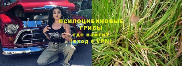 твердый Осинники