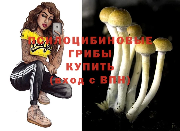 экстази Абаза
