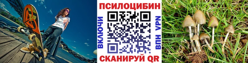 darknet какой сайт  Прокопьевск  Псилоцибиновые грибы Psilocybe 