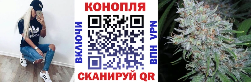 Бошки Шишки гибрид  блэк спрут зеркало  Прокопьевск 